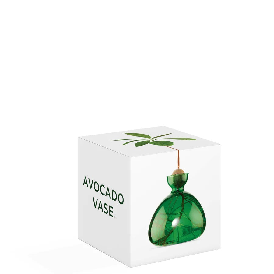 AVOCADO Vase